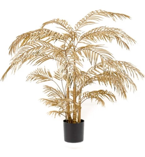 Palma areca finta - palma, barundia