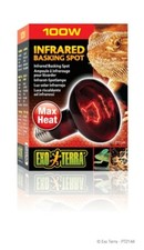 EXO TERRA INFRARED BASKING
