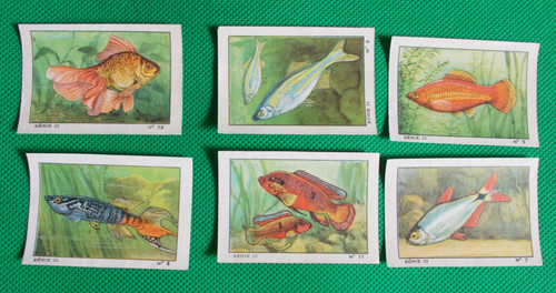 Lot images album nestlé - 6,