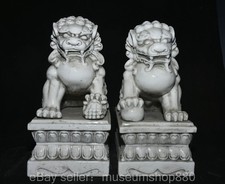 Coppia statue leone guardia