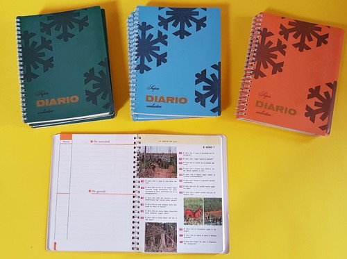 Diari scolastici anni - scolastici, settanta