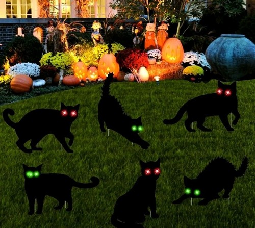 Confezione halloween - confezione,