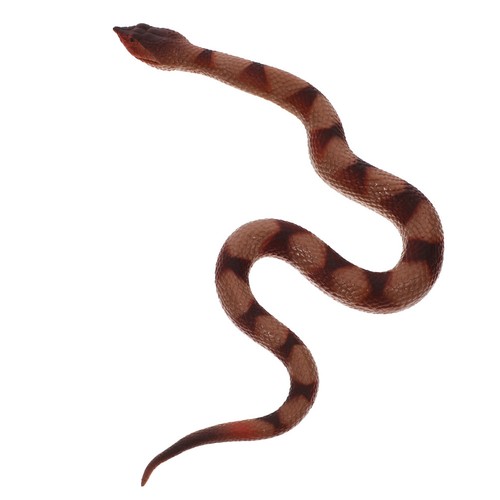 Finto serpente giocattolo