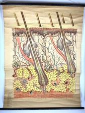 Poster illustrazione