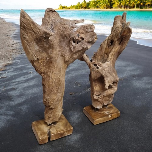 Teak radice legno scultura - teak,