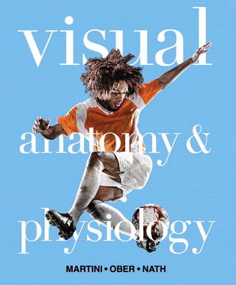Visual anatomy physiology - visual,