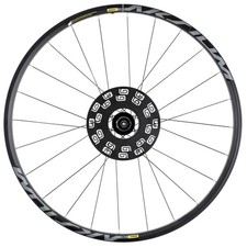 Ruota posteriore bici da