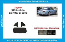 pellicole oscuranti vetri