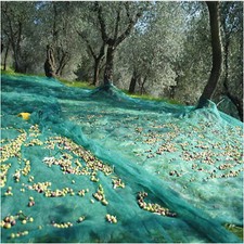 Rete Raccolta Olive 85 gr/mq con Anelli Telo Pesante Angolo Rinforzato Antispina