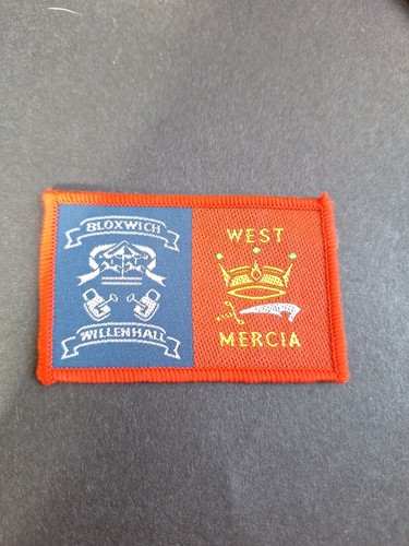 Scout badge district - badge, double