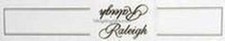 Raleigh Downtube moderno