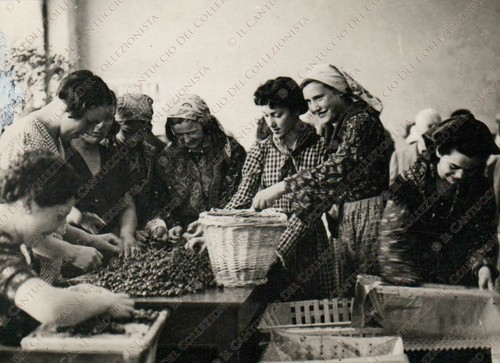 1953 tarcento raccolta - 1953,