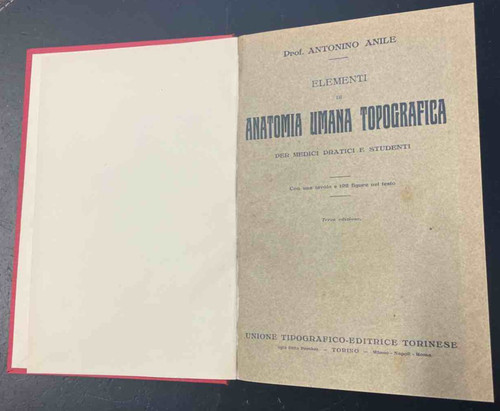 Anile elementi di anatomia - anile, a.