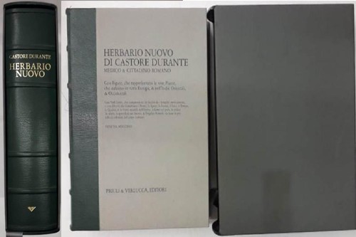 Herbario castore durante - herbario,