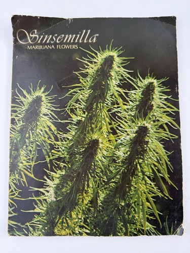 Sinsemilla marijuana flowers - sinsemilla,
