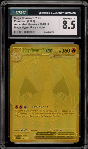 Pokemon mega charizard ex - mega, y