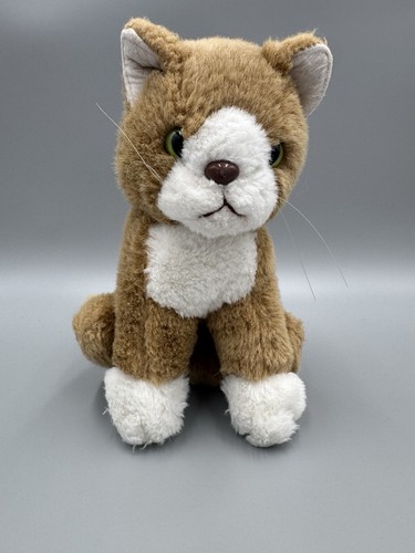 Adorabile gatto gattino - adorabile,