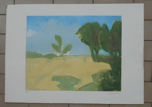Aldo salvadori incisione - salvadori,