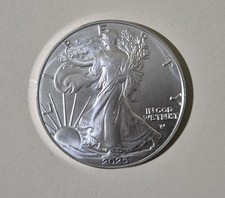 Moneta Argento Dollaro