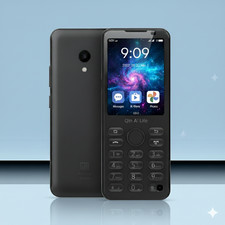 Telefono cellulare Qin F21 Pro