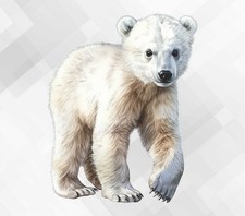 Adesivo vinile da parete