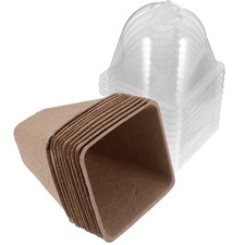 10 Pcs Vasetto Pianta Grassa