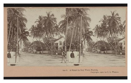 Cartolina key west - cartolina, a