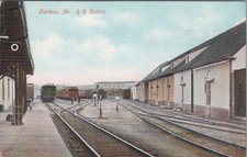 Cartolina Caribou Maine