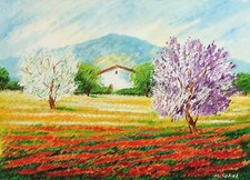 MARIO SOAVE 50x70 olio su tela anni '90 "paesaggio primaverile" prezzo ottimo