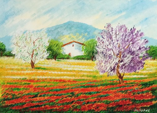 Mario soave 50x70 - mario, olio