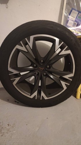 Set cerchioni gomme estivi - cerchioni,