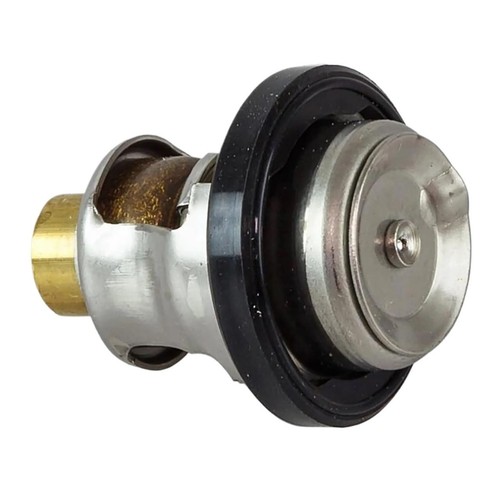 Termostato motore fuoribordo