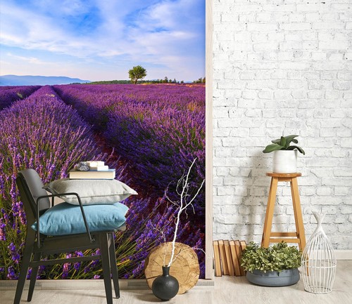 Carta parati lavender - 3d,