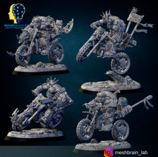 Wasteland Biker Orks squadra