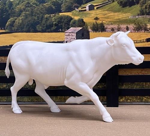 Mucca toro corna - , incompiuta