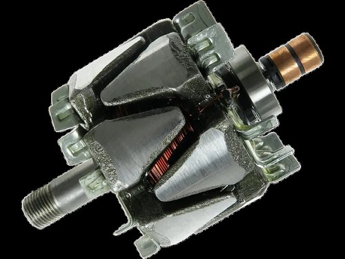 Rotore alternatore magneti - rotore,