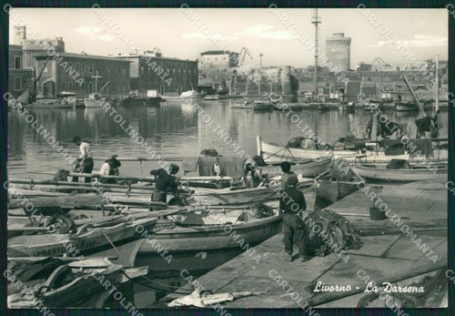 Livorno città pescatori - livorno,