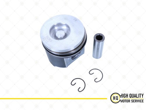 Piston with ring - piston, for