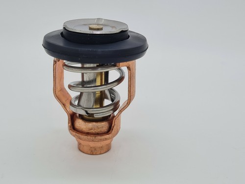 Termostato per fuoribordo - termostato,