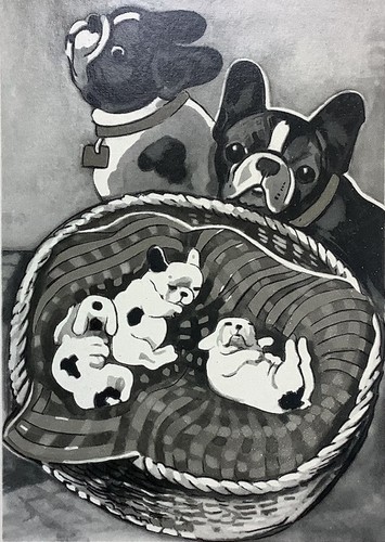 Fiero bulldog francese - fiero,