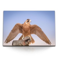 Quadro su tela 120x80 cm falco caccia al falco Dubai rapace rapace rapace