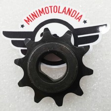 Pignone 10 Denti Per Minicross