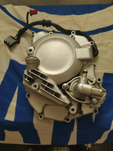 Carter volano pompa acqua - carter,