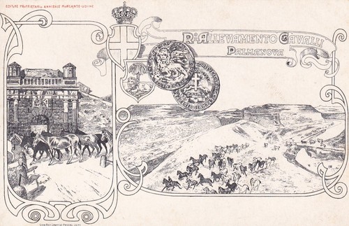 Cartolina militare udine - cartolina,