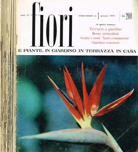 Fiori piante giardino in - piante.,