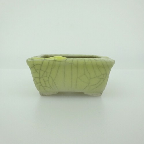 Vaso per bonsai giapponese