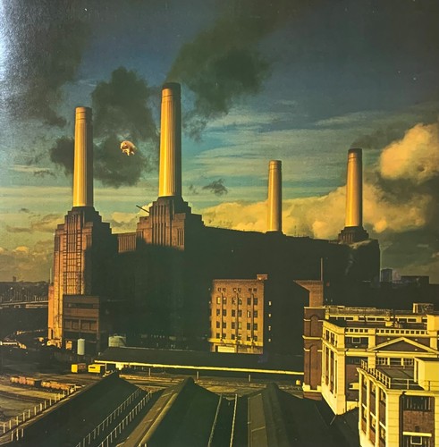 Pink floyd animals lp - pink,