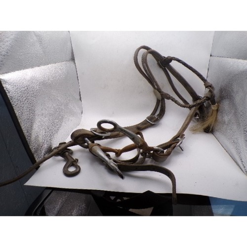 Briglia cavallo pelle - , western