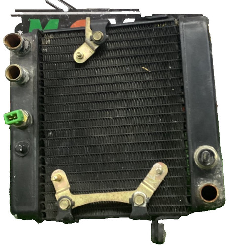 Radiatore honda foresight 250 - radiatore,