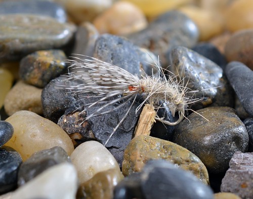 Mosche tenkara orecchio - 6,
